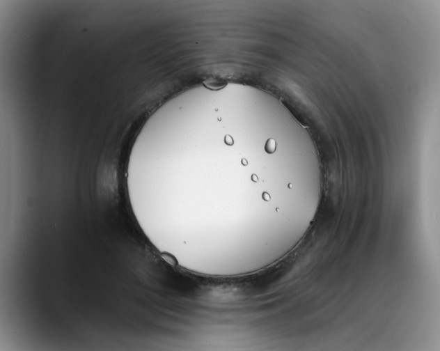 X0000089830500200707191828