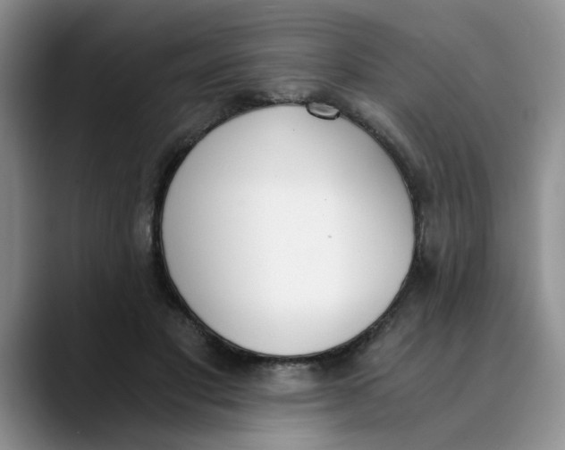 X0000089830501200707191828