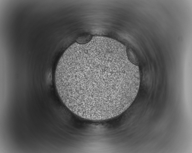 X0000089830502200707191828