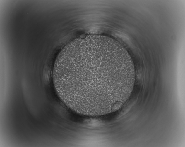 X0000089830503200707191828