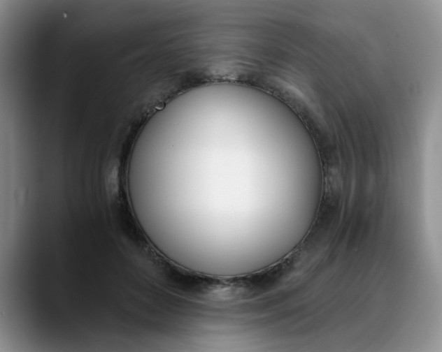 X0000089830504200707191828