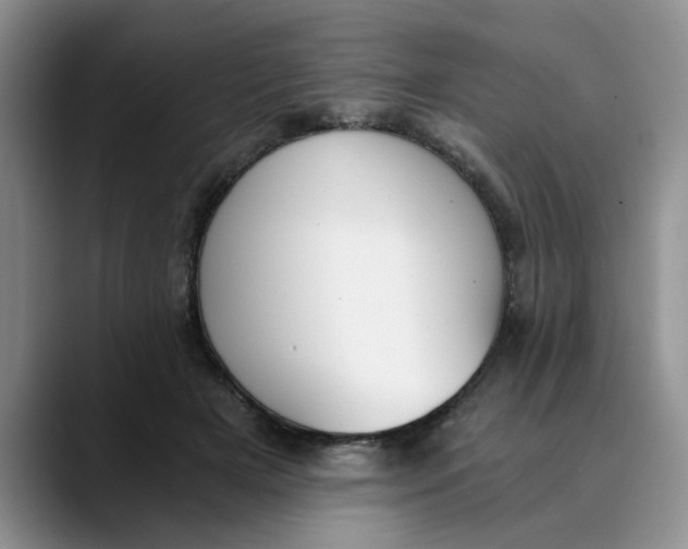 X0000089830505200707191828