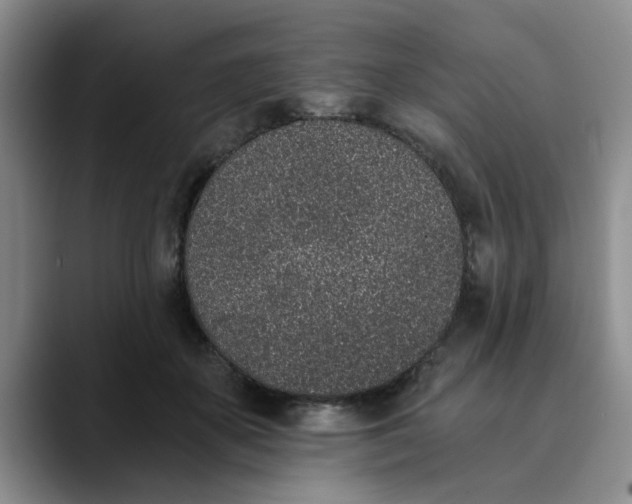 X0000089830507200707191828