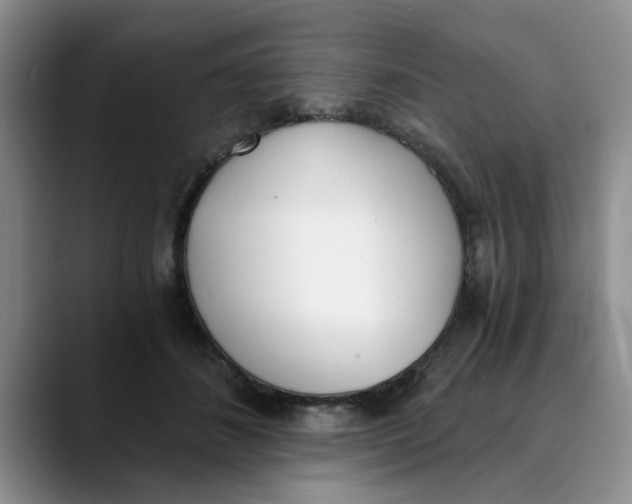 X0000089830508200707191828