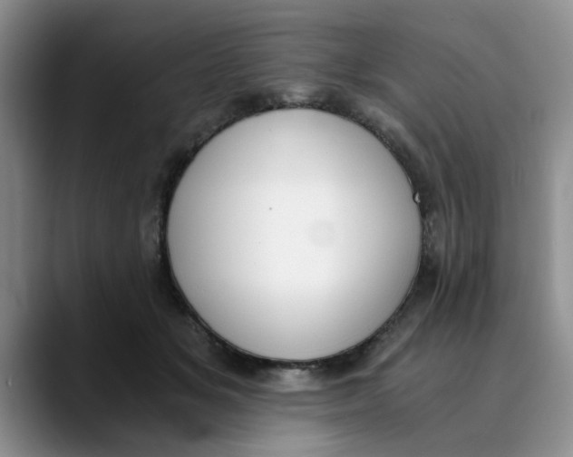 X0000089830509200707191828