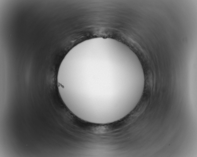 X0000089830513200707191828