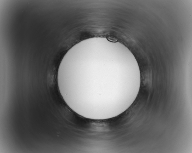 X0000089830515200707191828