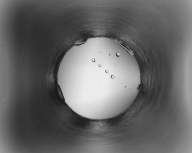 X0000089830516200707191828