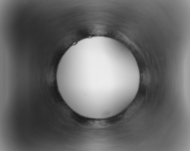 X0000089830517200707191828