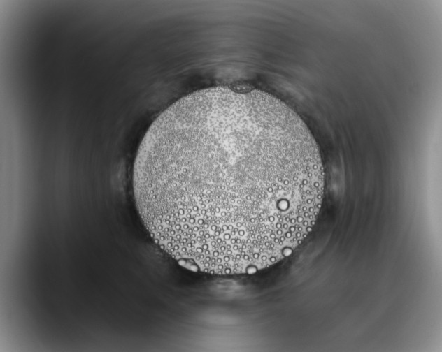 X0000089830519200707191828