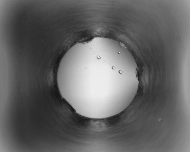 X0000089830520200707191828