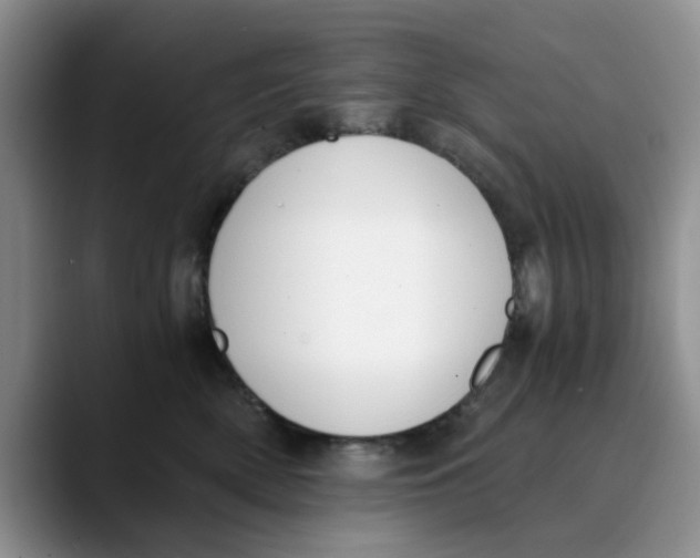 X0000089830522200707191828