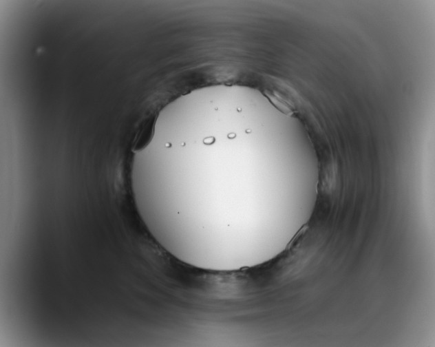 X0000089830524200707191828