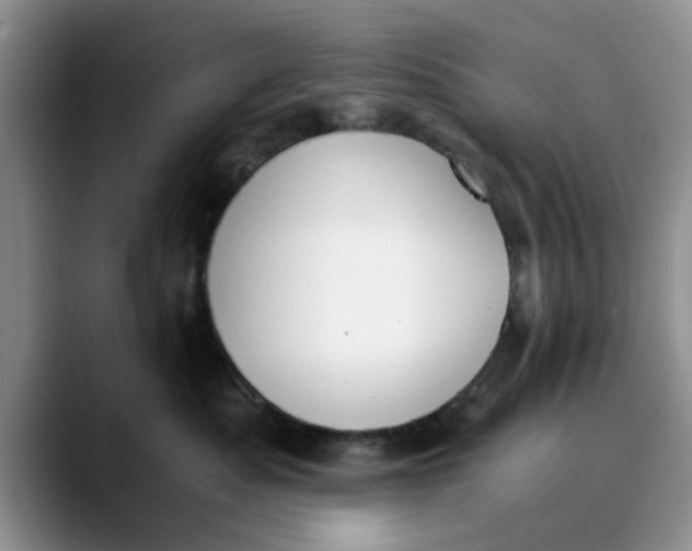 X0000089830525200707191828