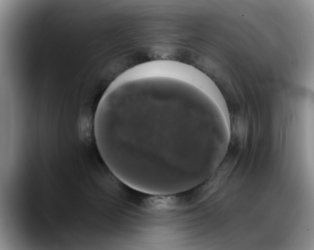 X0000089830526200707191828