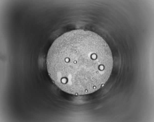 X0000089830527200707191828