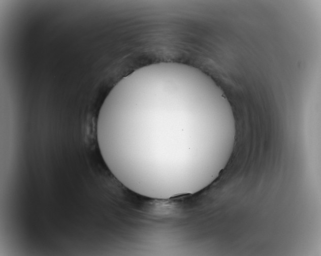 X0000089830528200707191828