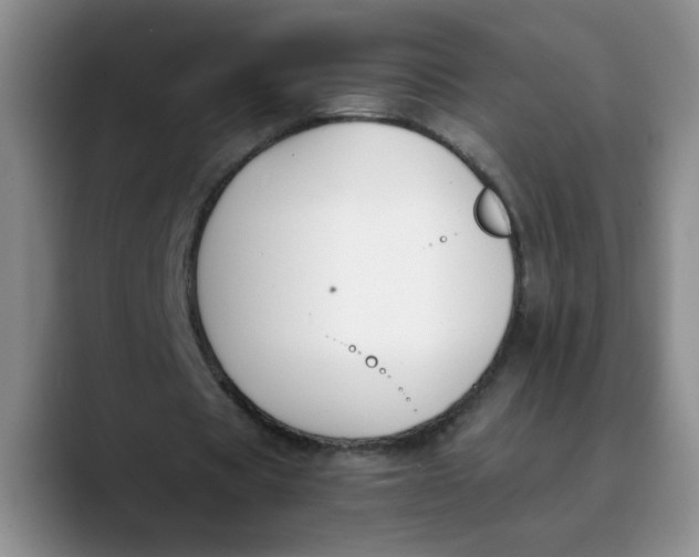 X0000089830529200707191827