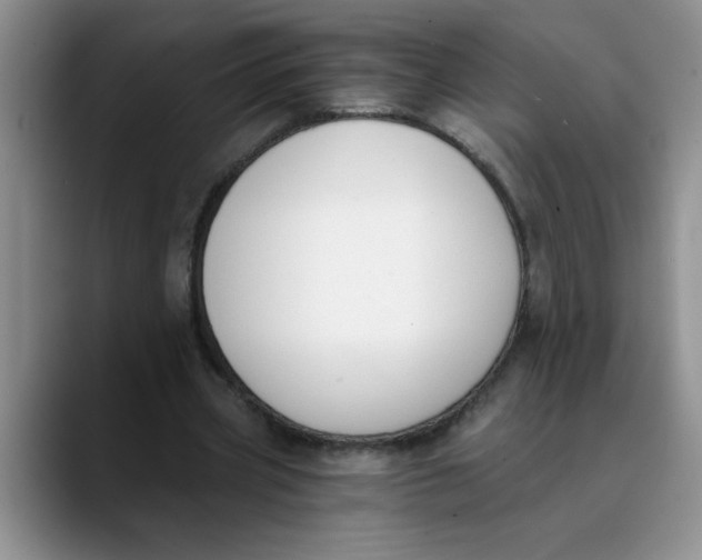 X0000089830533200707191828