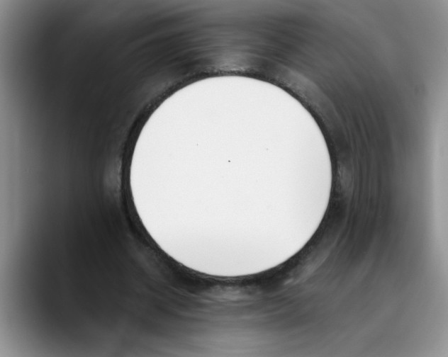 X0000089830534200707191828