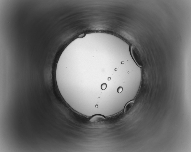 X0000089830535200707191828