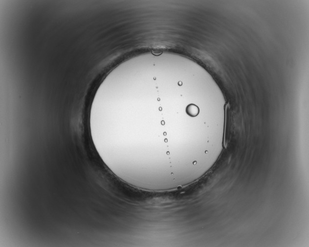 X0000089830536200707191828