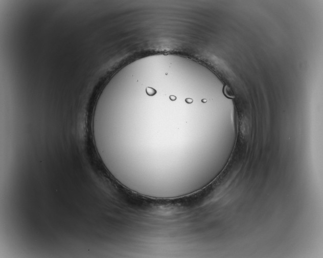 X0000089830540200707191828