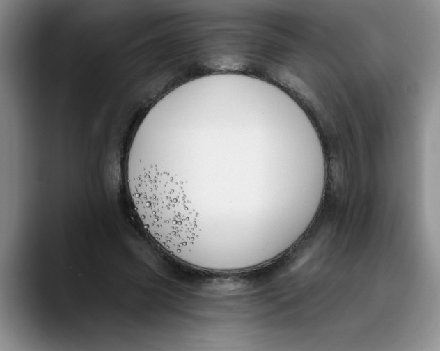 X0000089830541200707191828