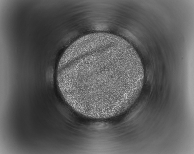 X0000089830542200707191828