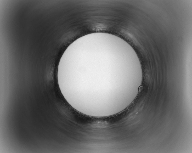 X0000089830543200707191828