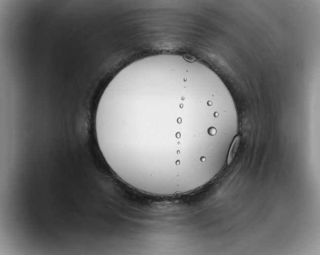 X0000089830544200707191828