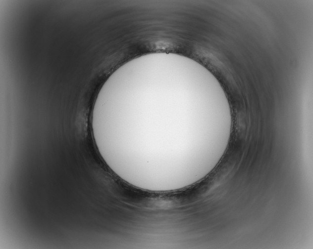 X0000089830545200707191828