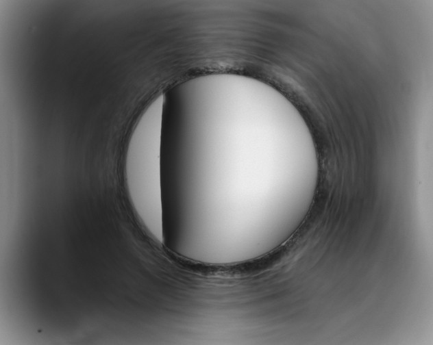 X0000089830546200707191828