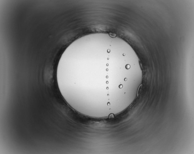 X0000089830548200707191828