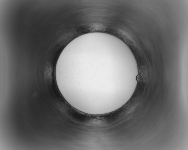 X0000089830550200707191828