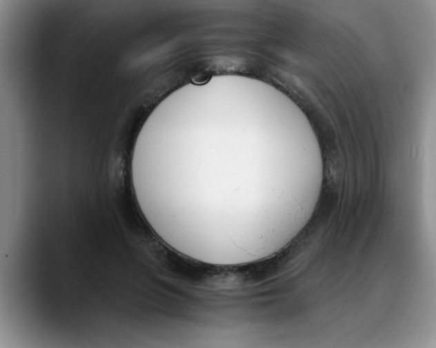 X0000089830551200707191828