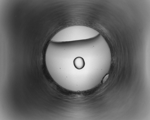 X0000089830552200707191828