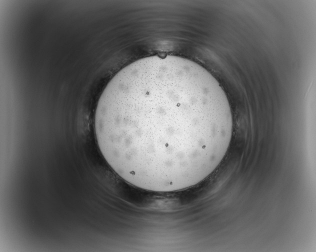 X0000089830555200707191828