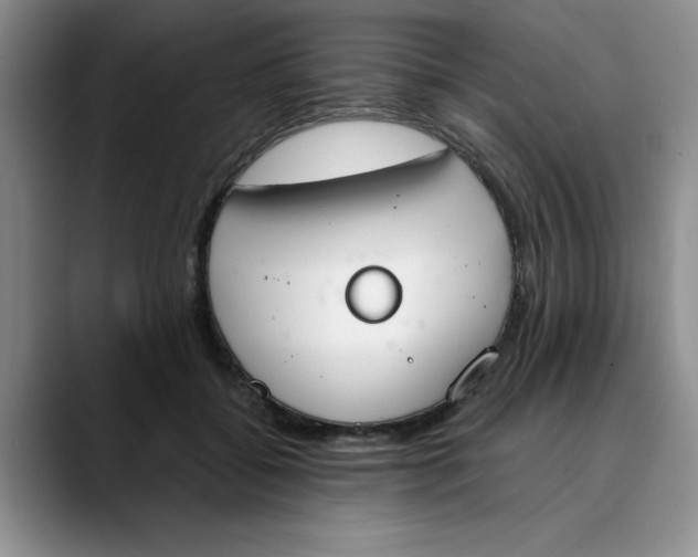 X0000089830556200707191828