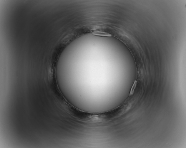 X0000089830558200707191828