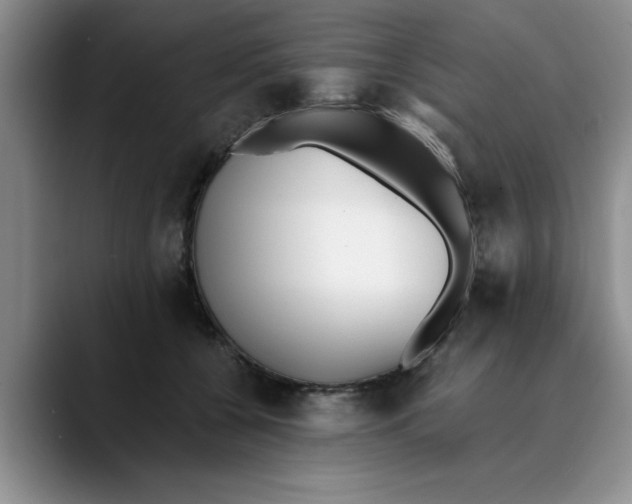 X0000089830560200707191828