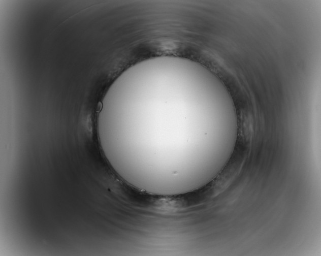 X0000089830562200707191828