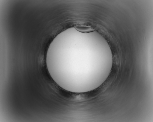 X0000089830564200707191828