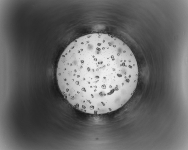 X0000089830565200707191828