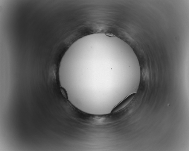 X0000089830570200707191828