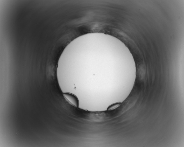 X0000089830571200707191828