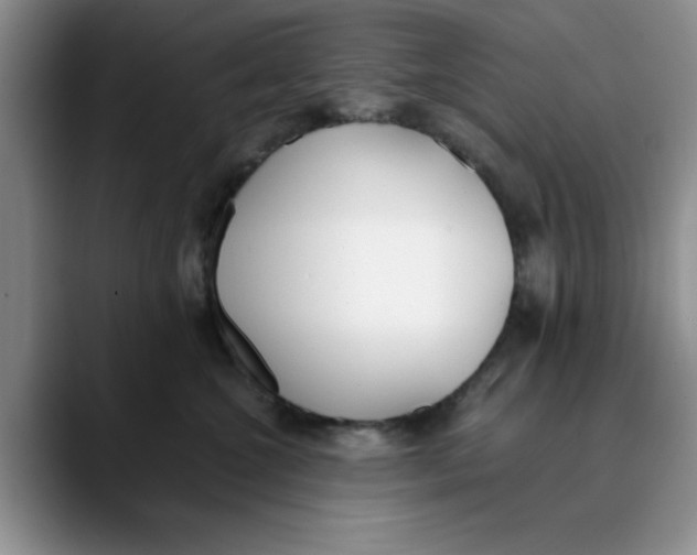 X0000089830572200707191828