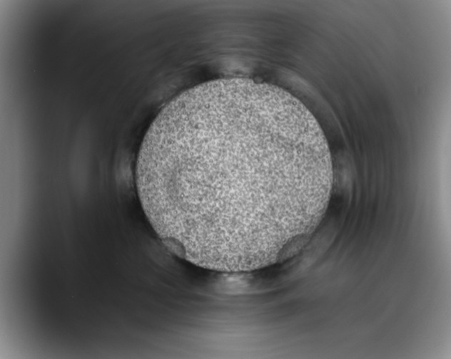 X0000089830573200707191828