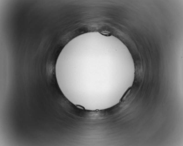 X0000089830574200707191828