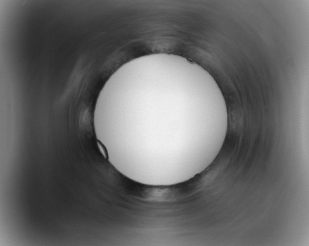 X0000089830575200707191828